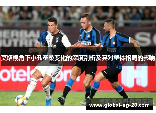 莫塔视角下小孔塞桑变化的深度剖析及其对整体格局的影响