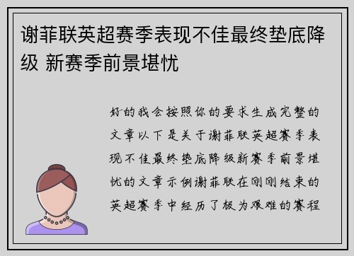 谢菲联英超赛季表现不佳最终垫底降级 新赛季前景堪忧