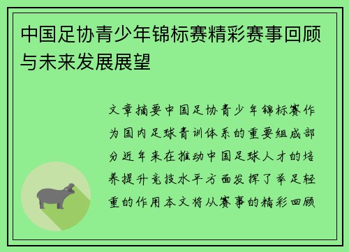 中国足协青少年锦标赛精彩赛事回顾与未来发展展望